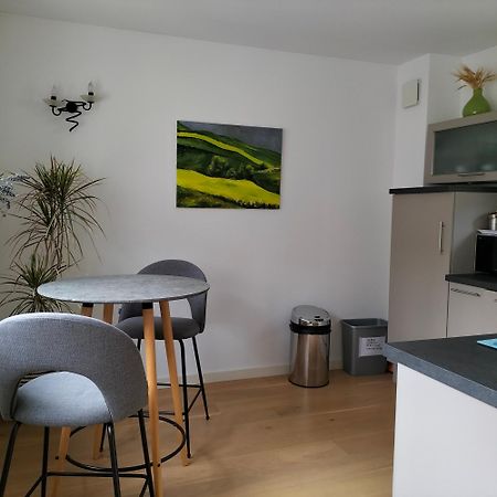 Appartement Salamandre Orléans Exteriör bild